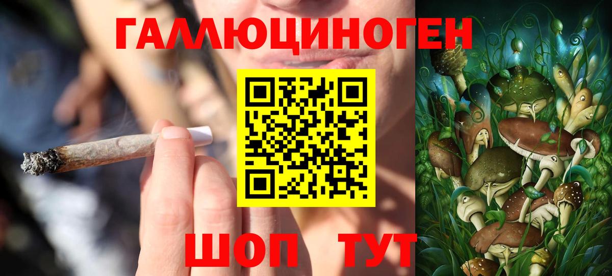 Псилоцибиновые грибы прущие грибы  магазин  наркотиков  Вход с VPN  Шадринск  Псилоцибиновые грибы прущие грибы 